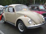 VW Bug in original paint color L620 - Savannah Beige